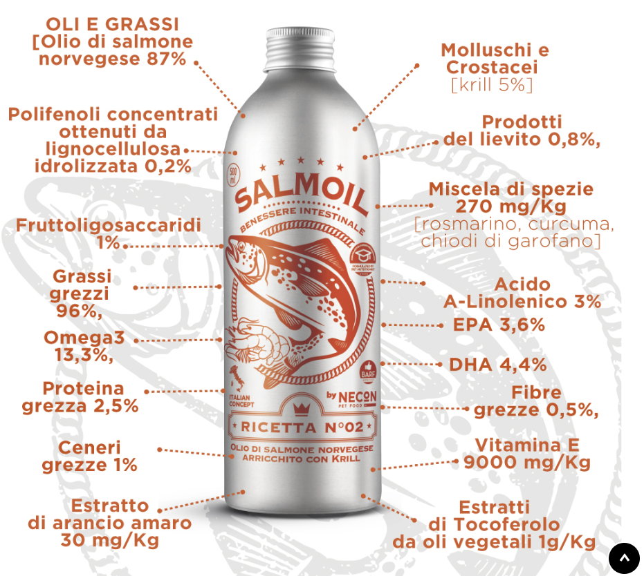 SALMOIL RICETTA 2 BENESSERE INTESTINALE 250ML