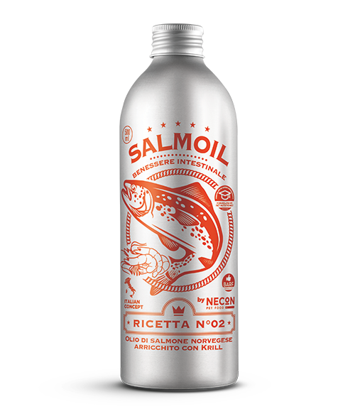 SALMOIL RICETTA 2 BENESSERE INTESTINALE 250ML
