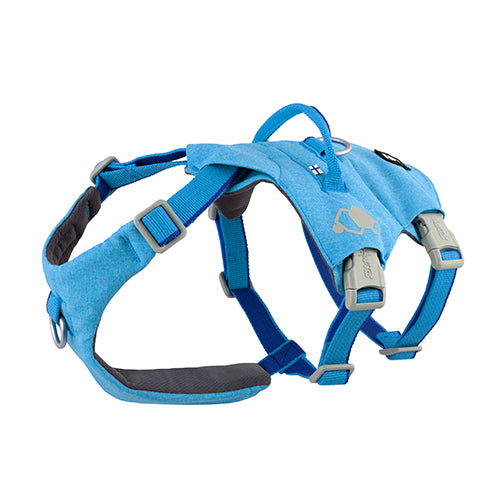 Pettorina safeguard eco