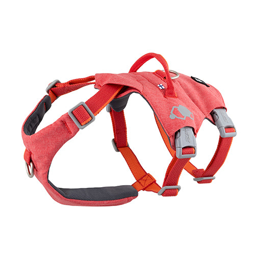 Pettorina safeguard eco