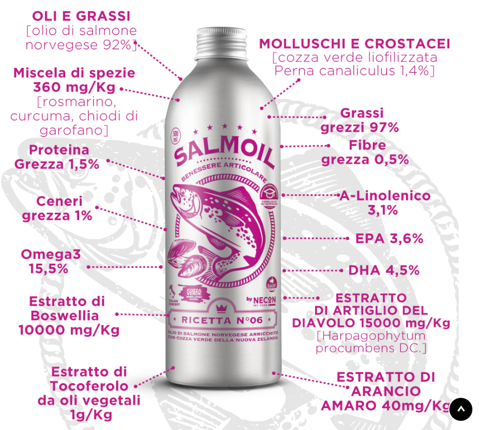 SALMOIL RICETTA 6 BENESSERE ARTICOLARE 250ML