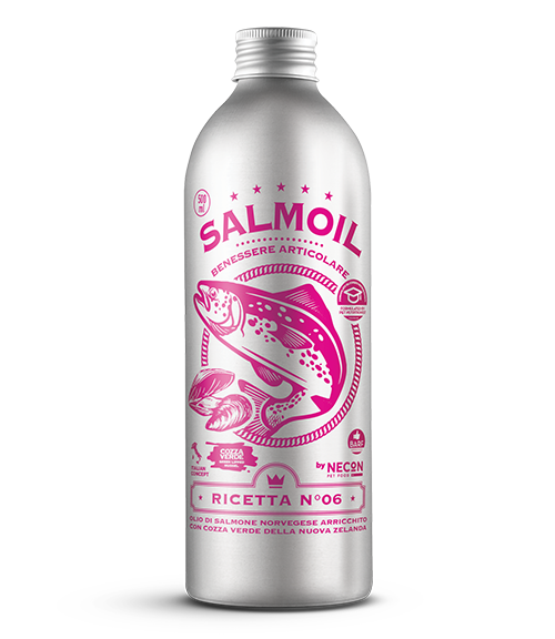 SALMOIL RICETTA 6 BENESSERE ARTICOLARE 250ML