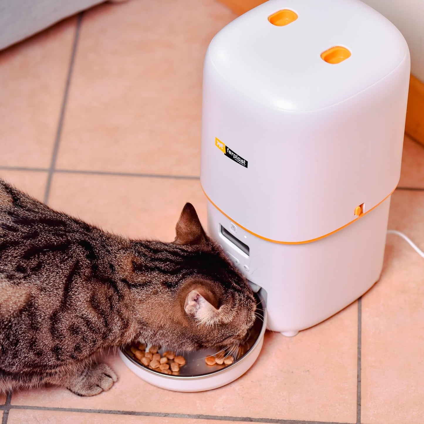 RISTO PET Distributore di cibo automatico