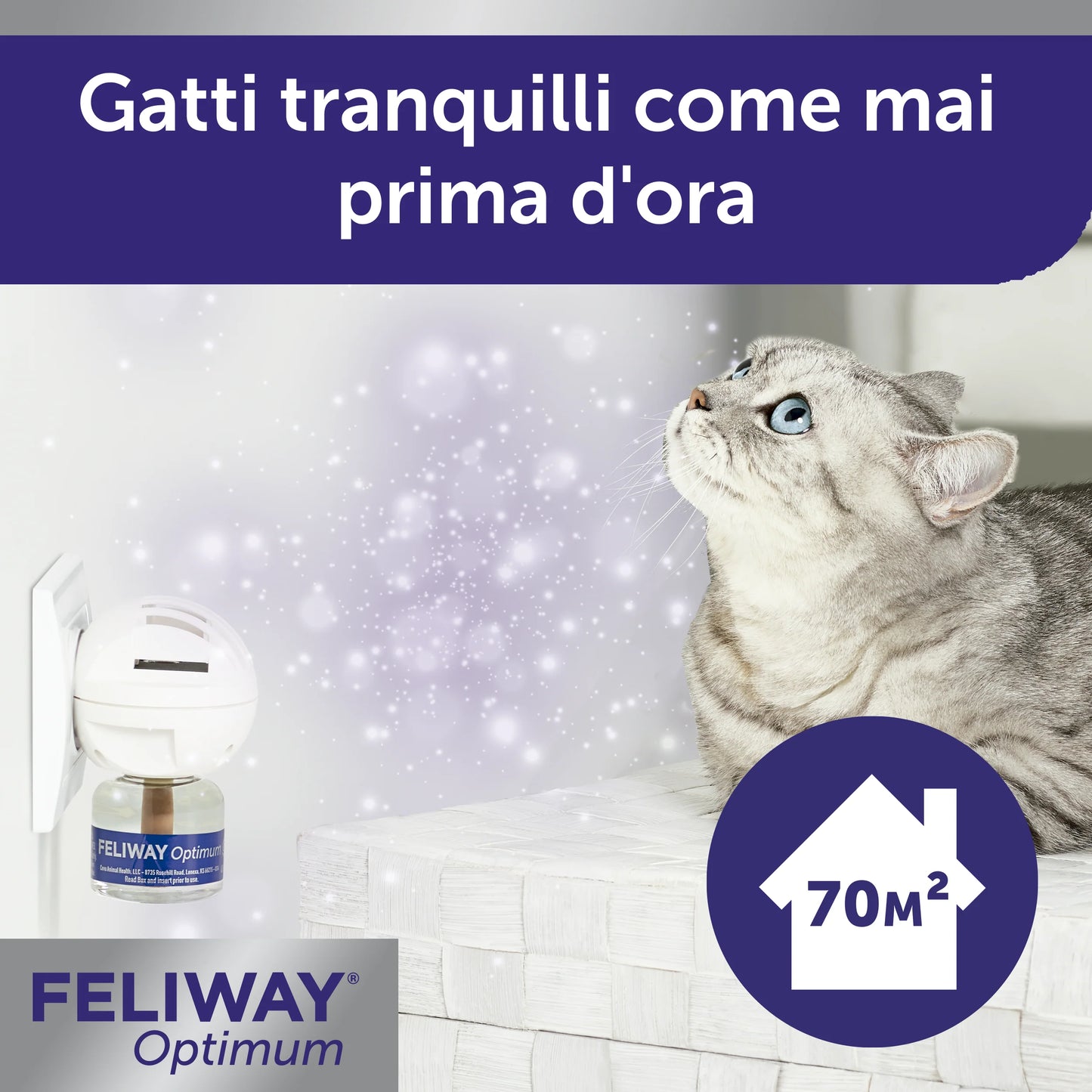 FELIWAY Optimum