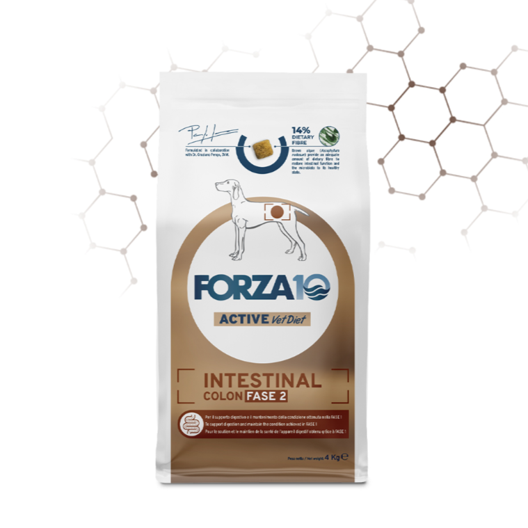 FORZA 10 DOG Intestinal Colon Fase II