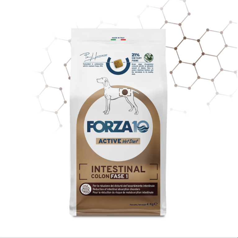 Forza 10 dog Intestinal Colon Fase I