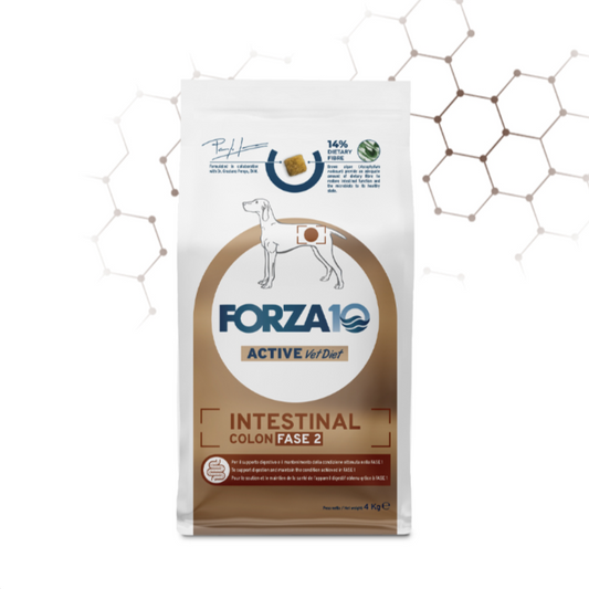 FORZA 10 DOG Intestinal Colon Fase II