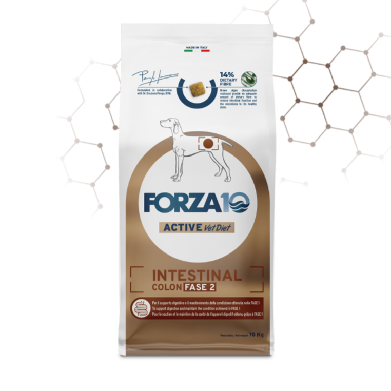 FORZA 10 DOG Intestinal Colon Fase II
