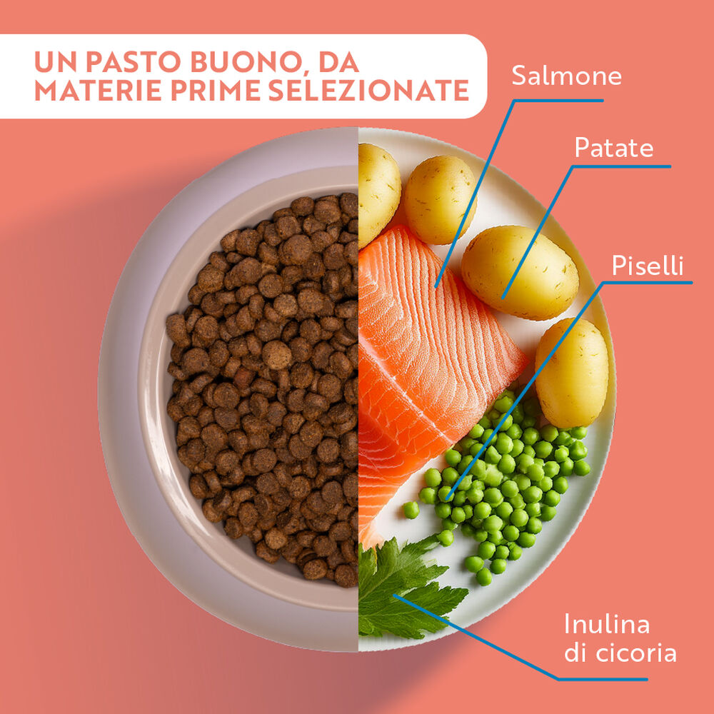 Monopro Cat Adult Salmone