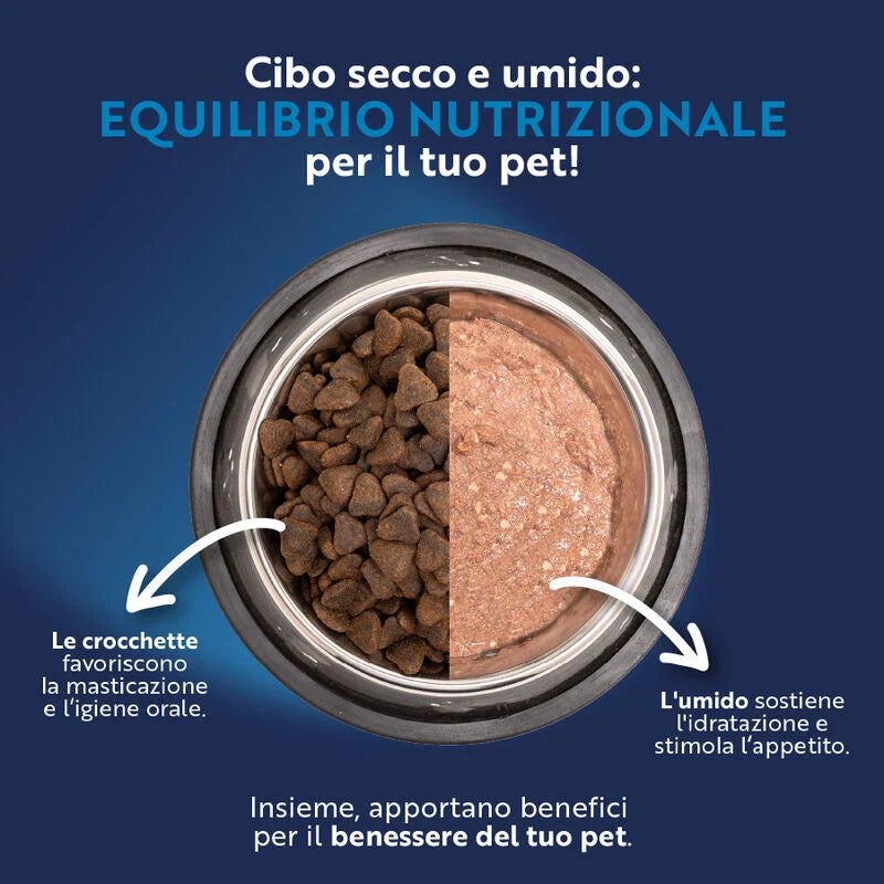 Monopro Dog Adult Medium&Large Grain Free Salmone