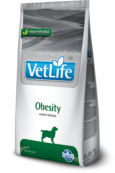 OBESITY CANINE
