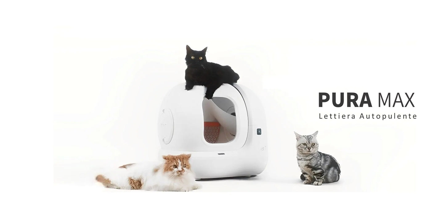 PURA MAX New Edition