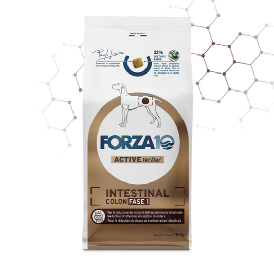 Forza 10 dog Intestinal Colon Fase I