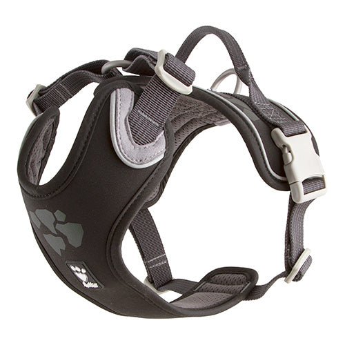 PETTORINA WEEKEND WARRIOR