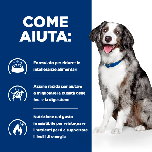 Hill's Canine Prescription Diet i/d Sensitive alimento per cani 10kg