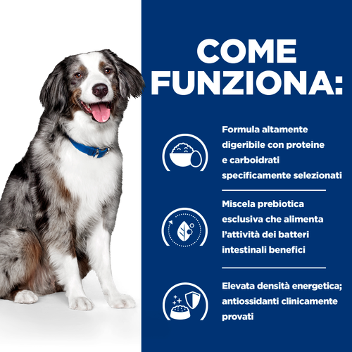 Hill's Canine Prescription Diet i/d Sensitive alimento per cani 10kg