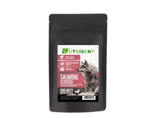 NUTRISENT Cane Adulto Taglia Piccola Salmone Scozzese con Aneto, Spinaci, Finocchi, Asparagi e Pomodori 2kg