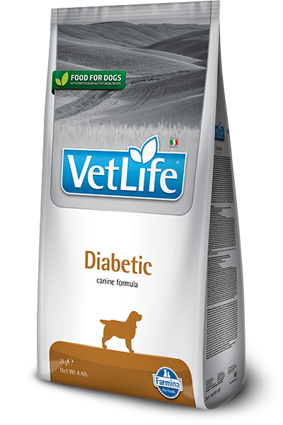 DIABETIC CANINE