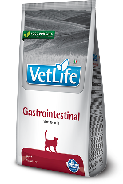 GASTROINTESTINAL FELINE 2kg