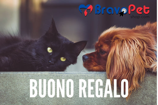 Buono regalo